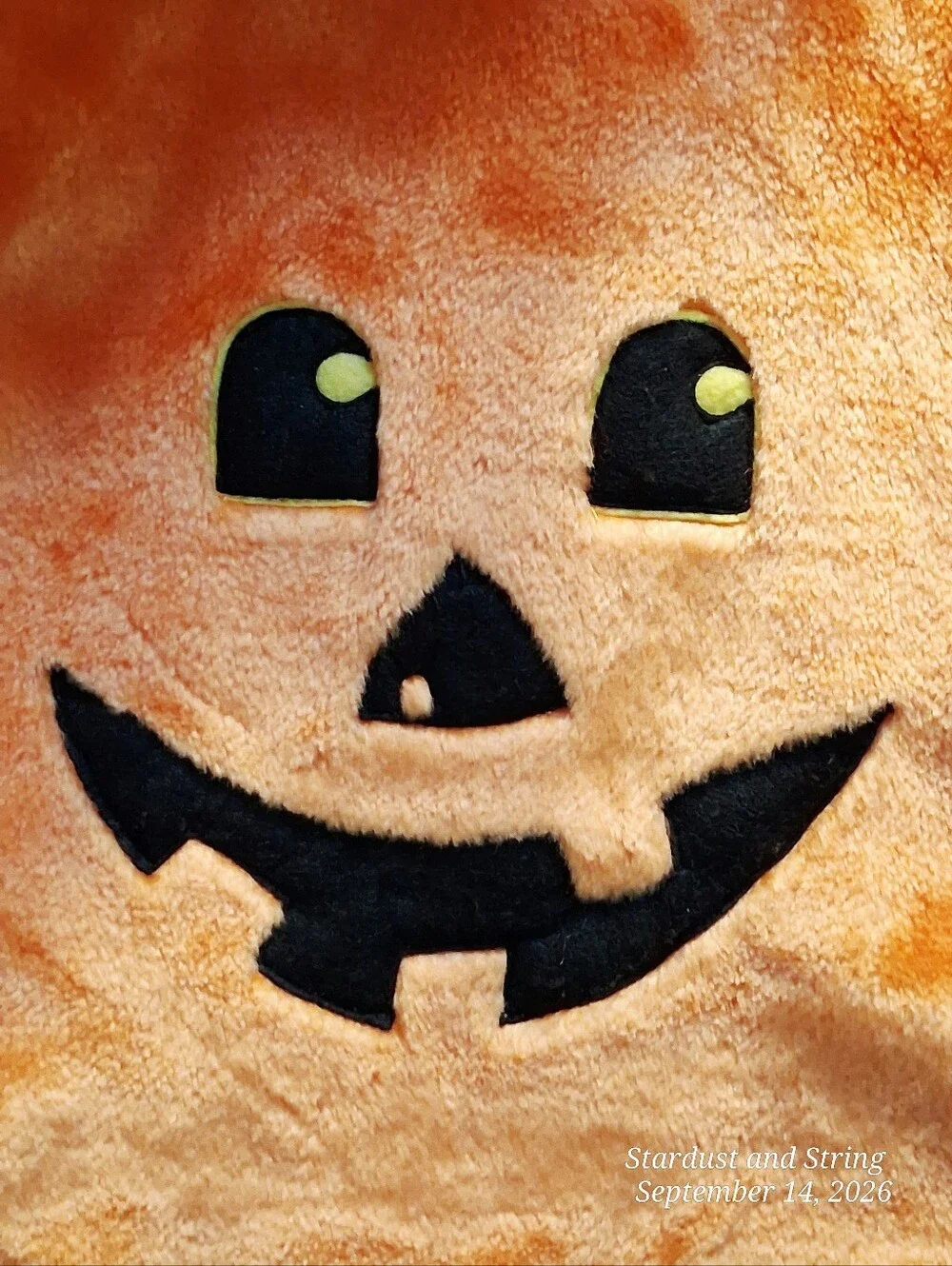 👜 Celebration Halloween Plush Pumpkin Vest Costume Orange Child 👜